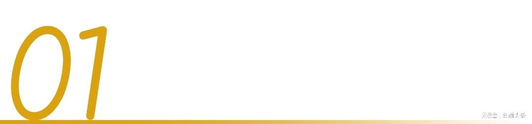 爱游戏中国官网-冲着周杰伦“一轮游”来,却嗑起了澳网和国窖1573的CP